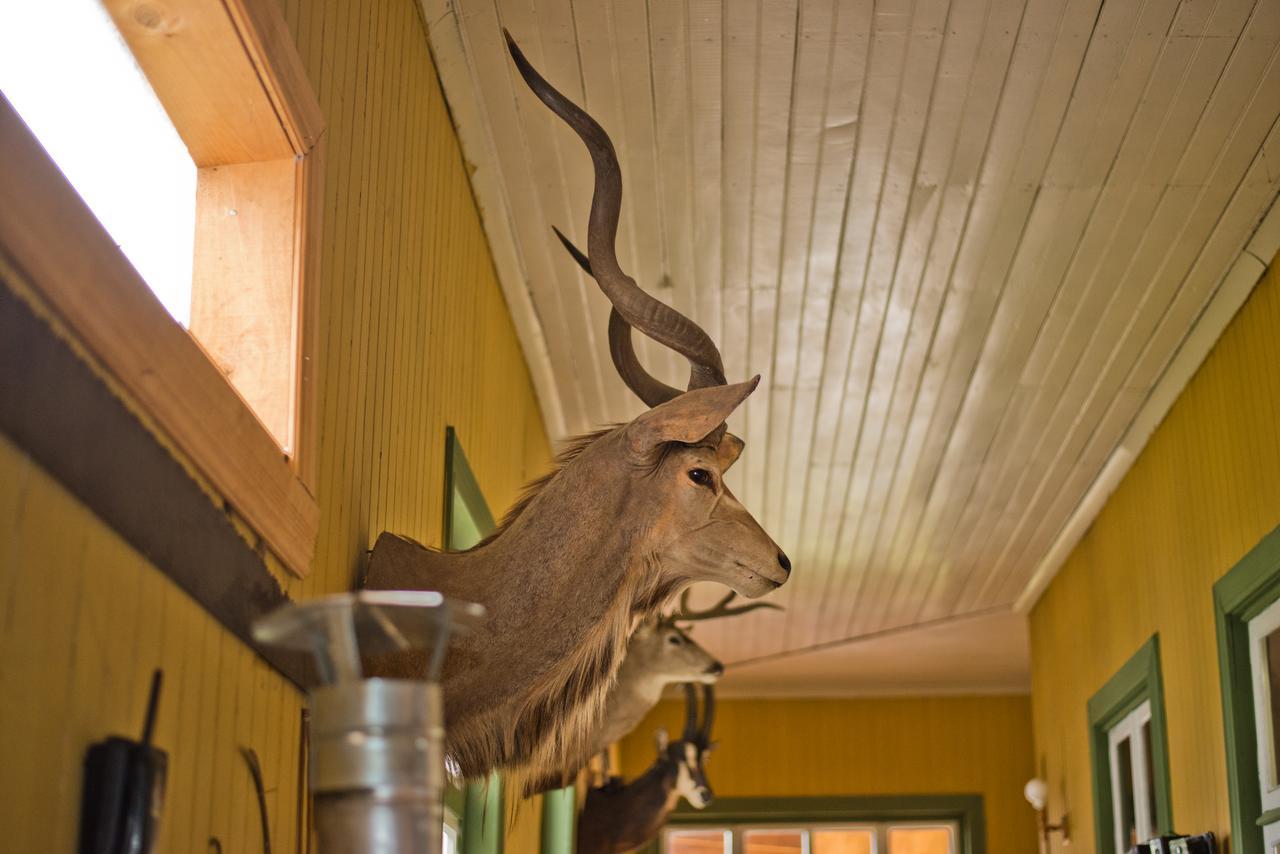 Hotel Casa De La Oma Frutillar Zewnętrze zdjęcie